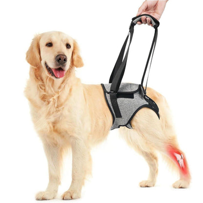 Decompression Back Leg Strap for Injured and Older Dogs Support Harness Aid - XL