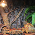 Pet 3D Foam Backgrounds Reptile Tank Board, 60*45cm, 9 Styles, Non-Toxic, Durable - SuperSaverAU - view 4