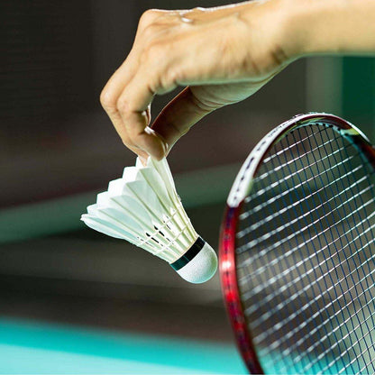 12 Pcs Feather Badminton Shuttlecocks for Training
