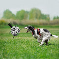 Premium Interactive Dog Football Toy with Grab Tabs & Pump - 15cm