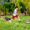 Premium Interactive Dog Football Toy with Grab Tabs & Pump - 15cm