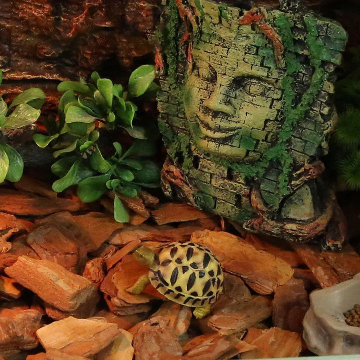 Premium Reptile Bark Bedding Substrate - Small 650g