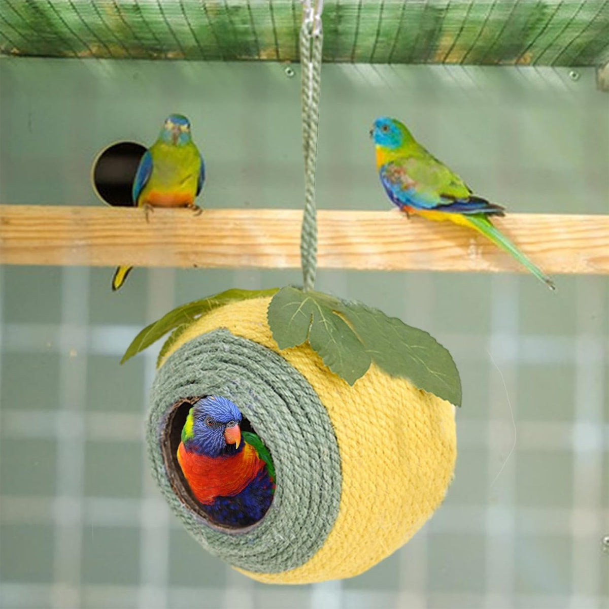 Coconut Shell Bird Nest for Small Birds - 13cm, Colourful Braided Hanging Bed - SuperSaverAU - view 4