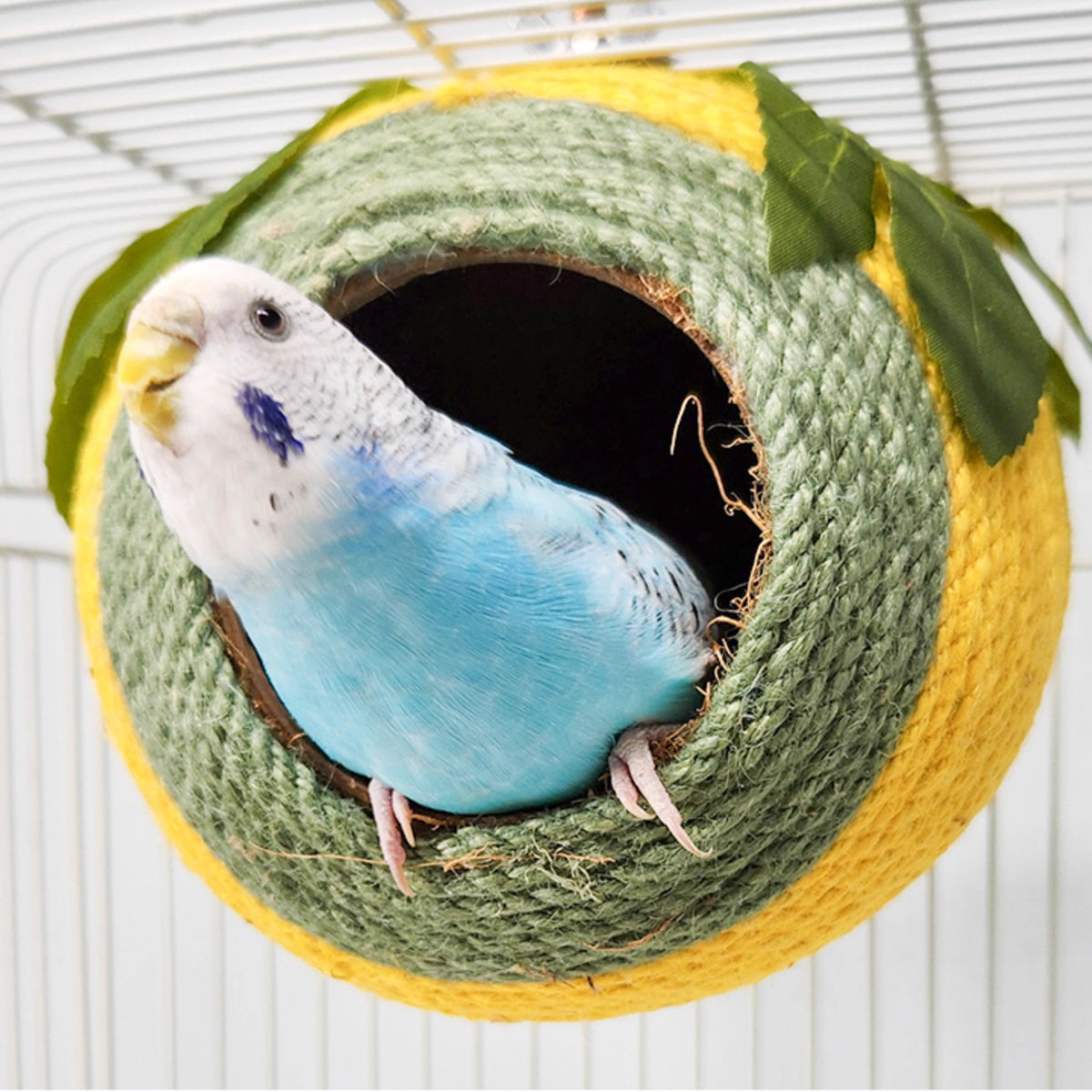 Premium Coconut Shell Bird Nest with Braided Twine - Green Yellow Screw Model