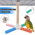 Premium Colourful Parrot Umbrella Perch Stand with Claw Grinding Bars