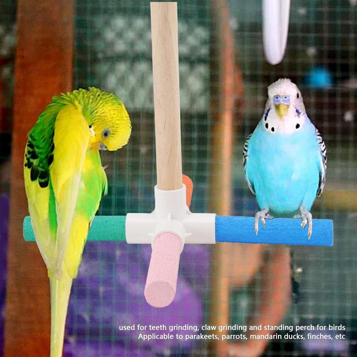 Premium Colourful Parrot Umbrella Perch Stand with Claw Grinding Bars