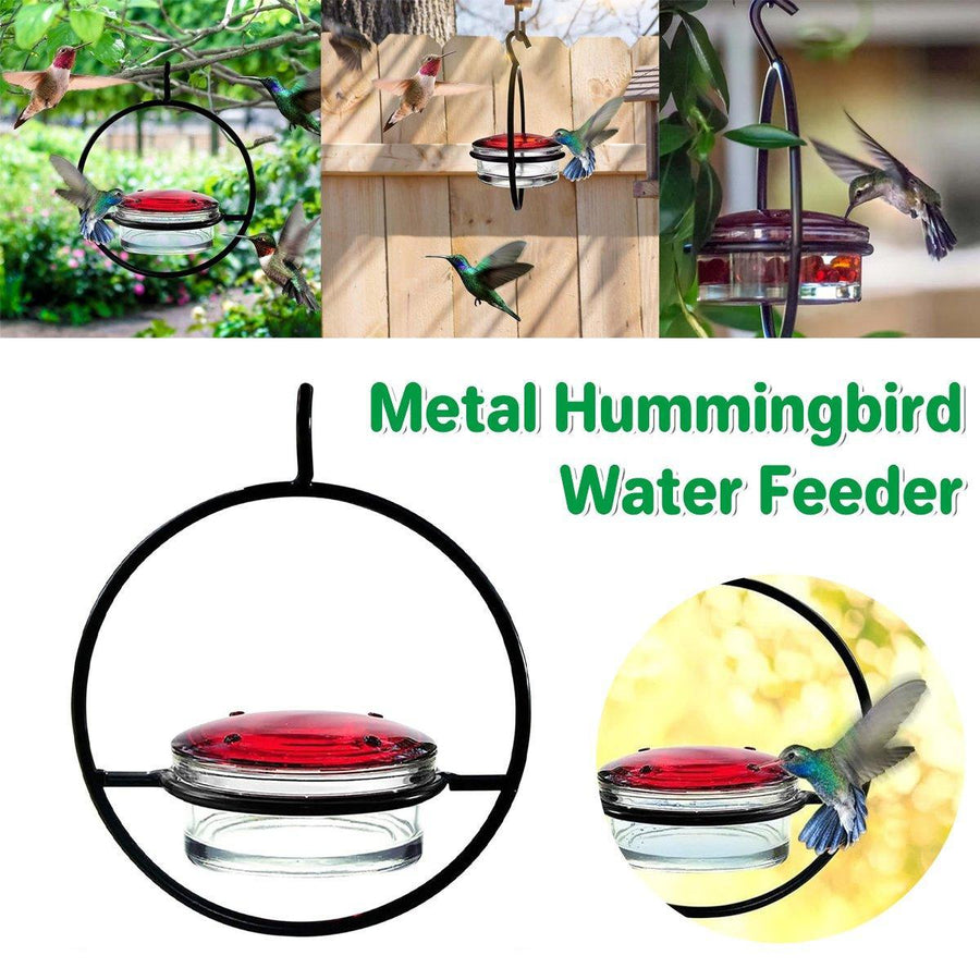 Premium Metal Hummingbird Feeder with Glass Reservoir