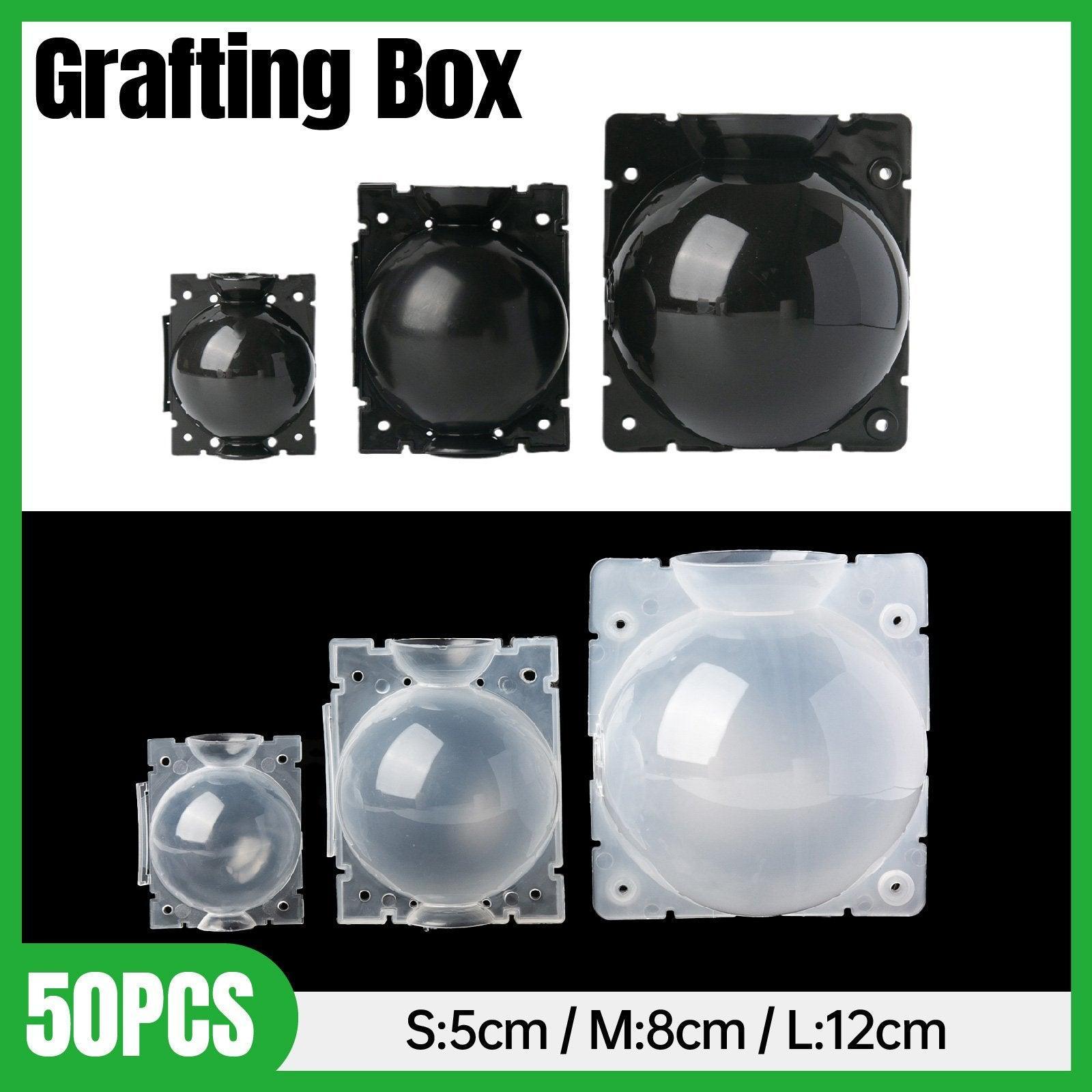 50pcs Plant High-pressure Grafting Box Rooting Device - Clear, Small (6 cm) - SuperSaverAU - view 1