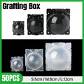 Premium Plant Rooting Grafting Boxes – Clear Medium 50 Pack