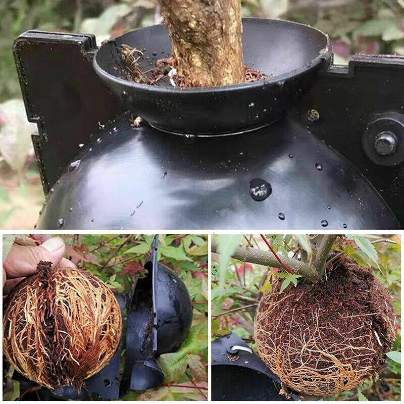 Premium Plant Rooting Ball Propagation Boxes – Large 12cm, 10 Pack