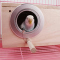 Premium Wooden Bird Breeding Nest Box - Small 19.5 x 12 x 12cm