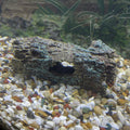 Premium Resin Tree Log Hide Ornament for Reptile & Fish Tanks - Large