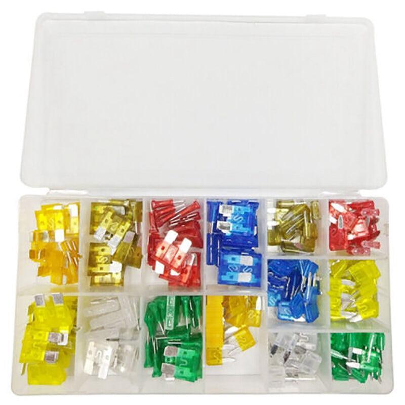 Premium 300 Piece Automotive Blade Fuse Assortment Kit with Case