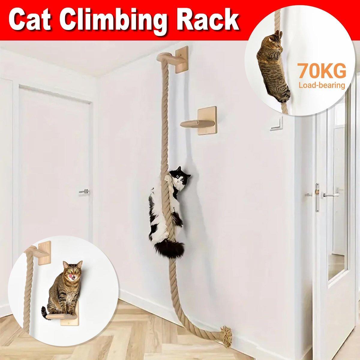 Cat Climbing Frame 150cm with Rope & Leash for Interactive Play - Brown