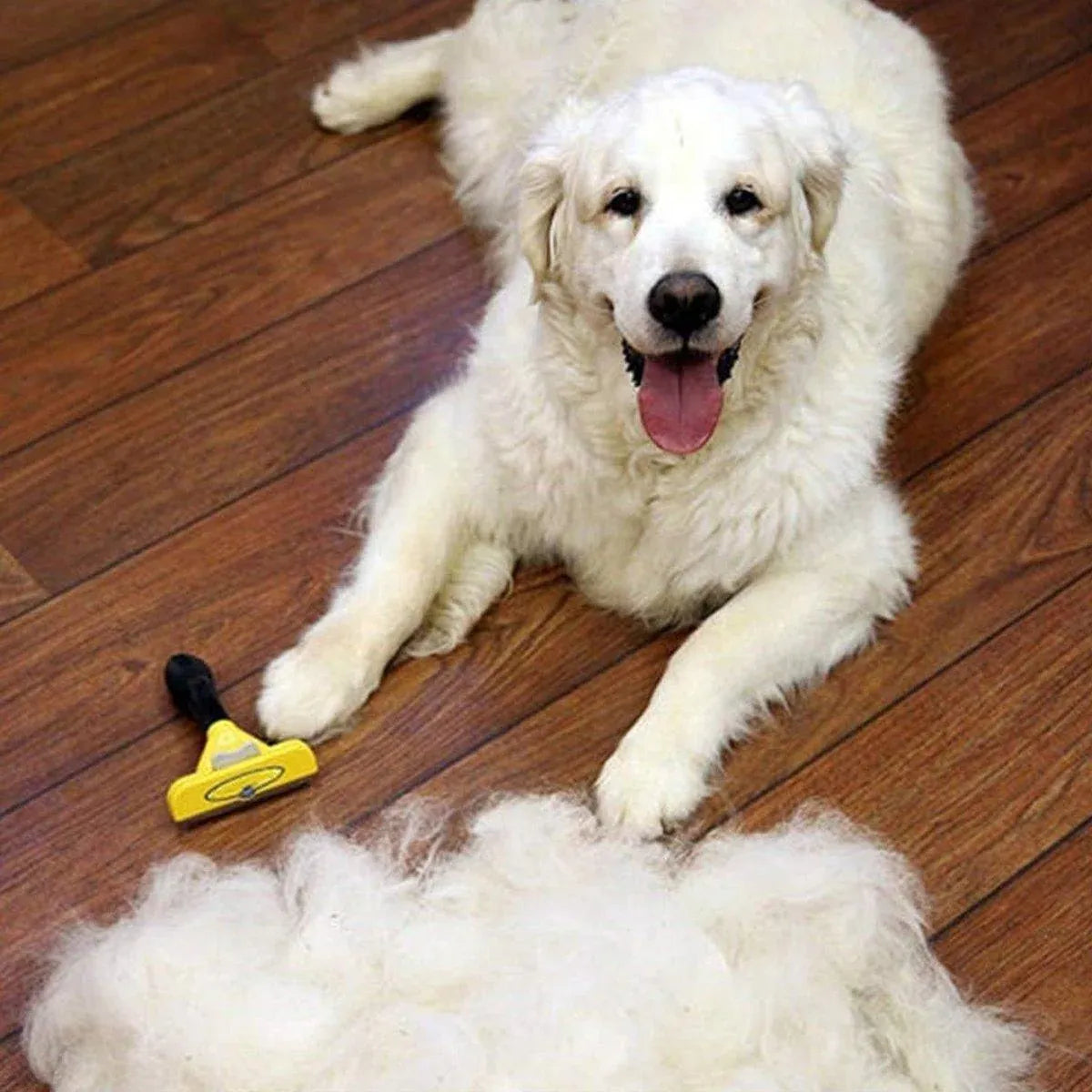 Premium Pet Hair Removal Brush Deshedding Tool - Purple
