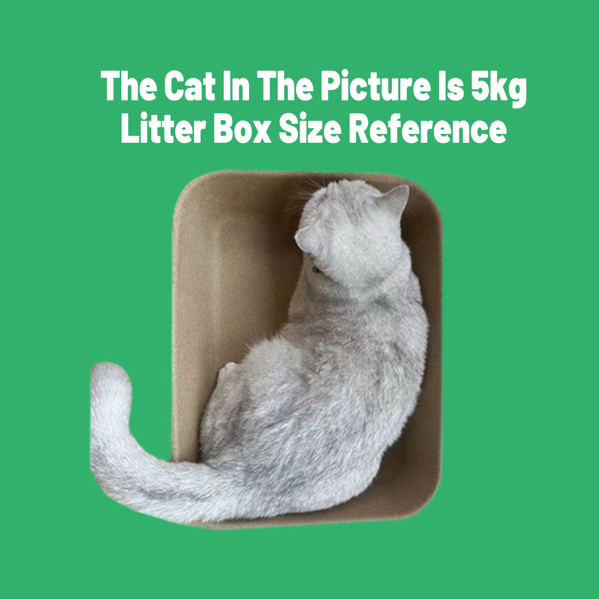 Premium Disposable Biodegradable Pulp Cat Litter Boxes - 10 Pack