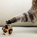 33PCS Cat Toy Set with Tunnel, Balls, Mice, and Interactive Teaser Wands - SuperSaverAU - view 5