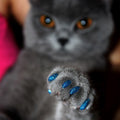 100PCS Anti Scratch Cat Nail Caps - Soft Rubber, Vibrant Colours, XS-L - SuperSaverAU - view 5