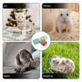 Premium Foldable Rainbow Cat Tunnel with Hanging Ball Toy