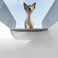 Cat Litter Box with Splash Guard and Wide Opening for Cats - Grey - SuperSaverAU - view 3
