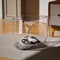 Transparent Cat House - Semi-Enclosed, Spacious, 13.77 x 11.02 x 11.4 inches - SuperSaverAU - view 4