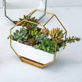 Wall Hanging Ceramic Planter Pot 17.7x8.5x5.8cm - Gold Frame, Modern Design - SuperSaverAU - view 4