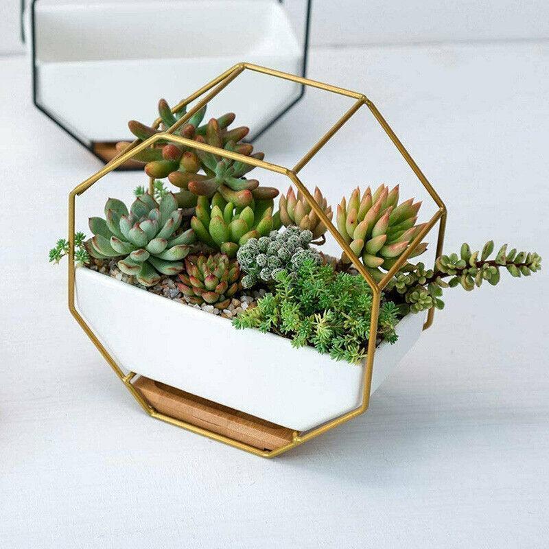 Wall Hanging Ceramic Planter Pot 17.7x8.5x5.8cm - Gold Frame, Modern Design