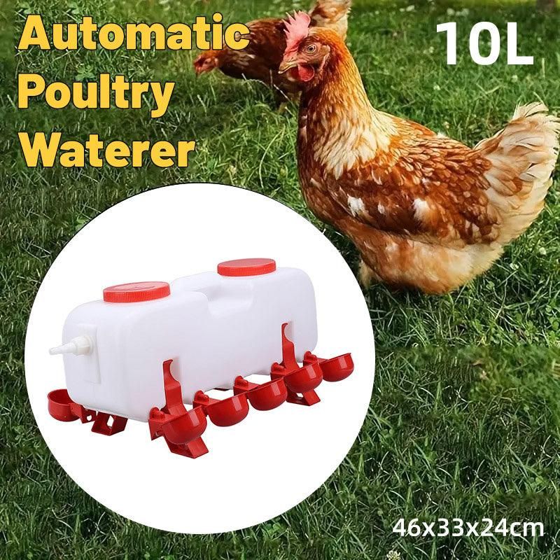 Premium 10L Automatic Poultry Waterer with 5 Drinking Cups