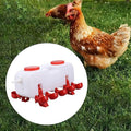 Premium 10L Automatic Poultry Waterer with 5 Drinking Cups
