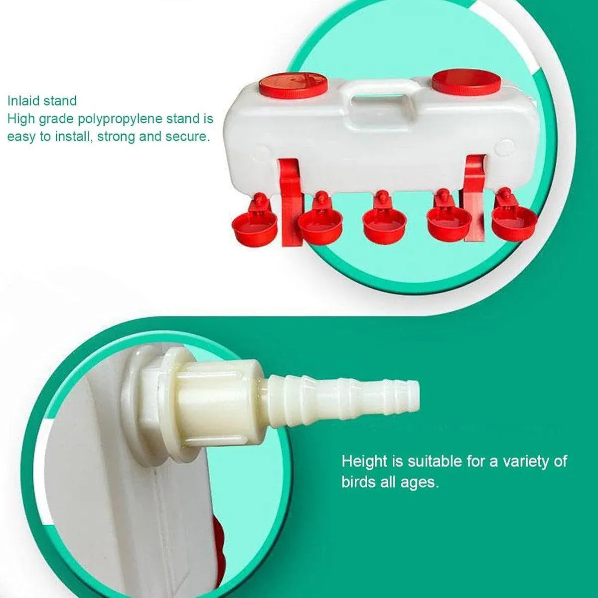 Premium 10L Automatic Poultry Waterer with 5 Drinking Cups