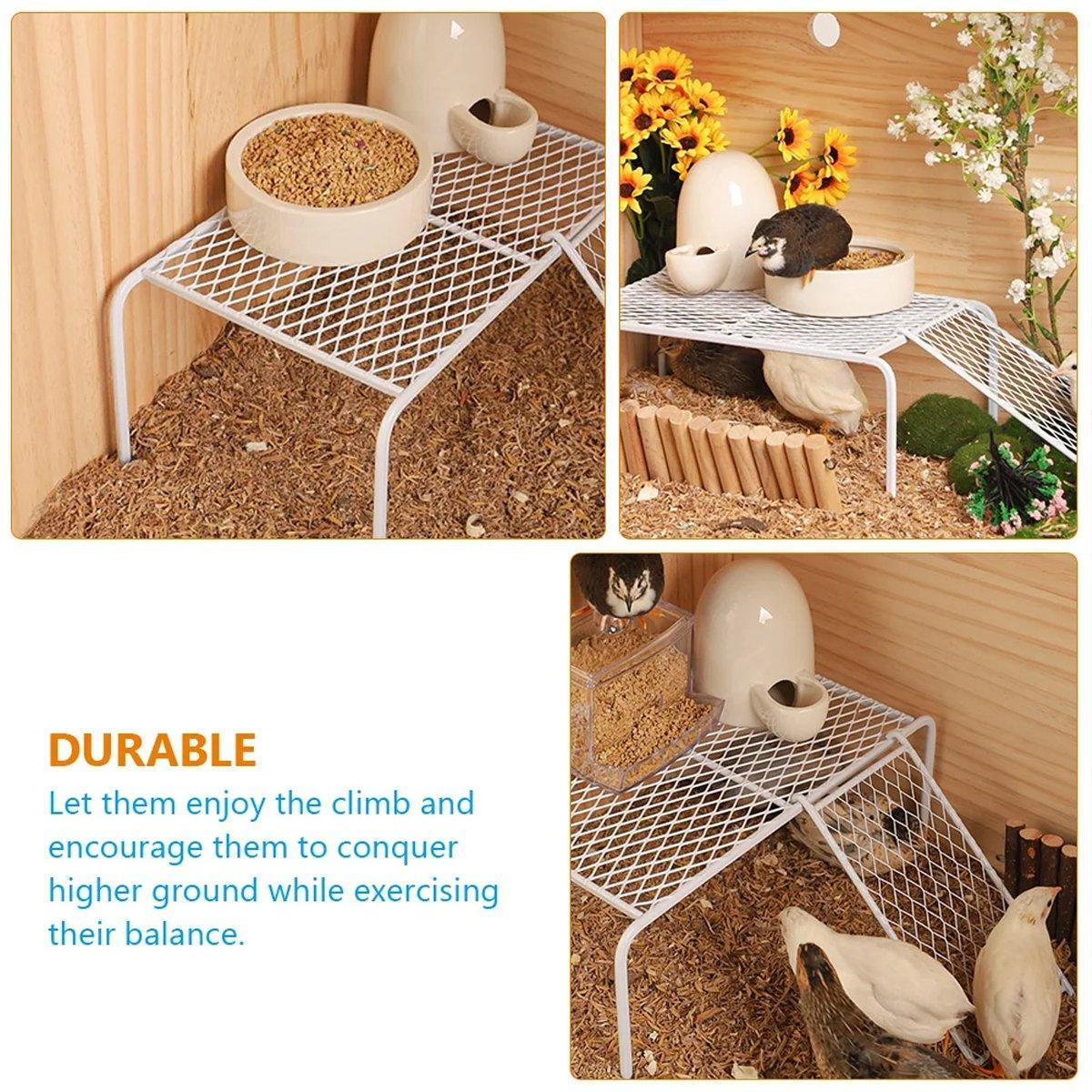 Premium Metal Chicken Feeding Ladder Grid Platform - Black L