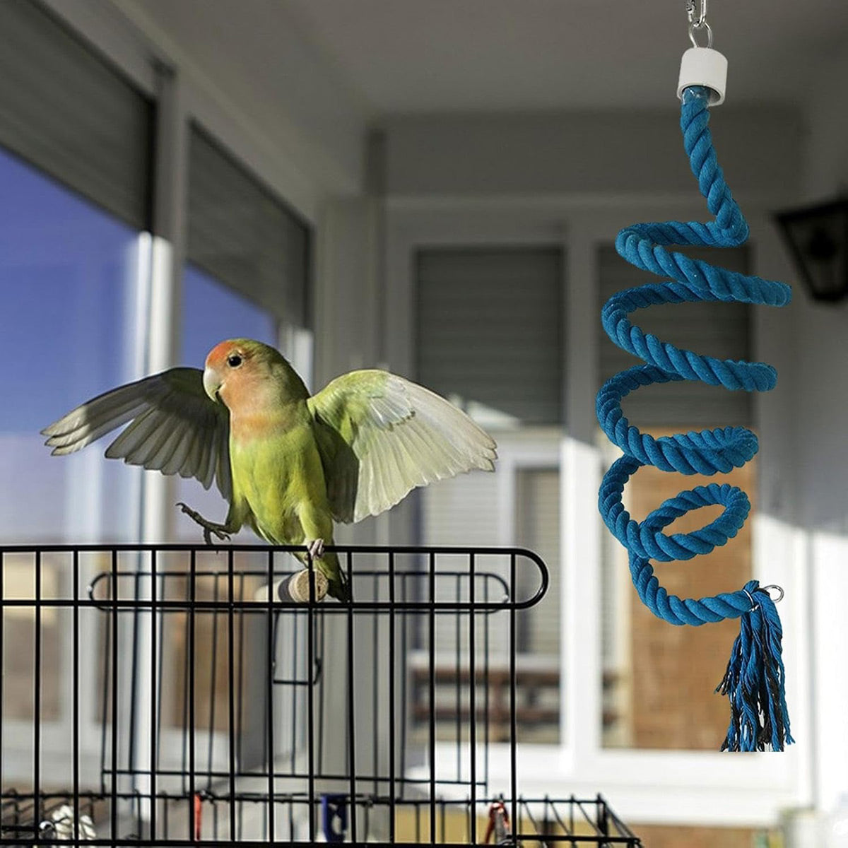 Premium Spiral Bird Climbing Rope Toy - Gradient Colour 150cm