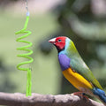 Premium Spiral Bird Climbing Rope Toy - Gradient Colour 150cm