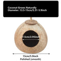 Premium Coconut Shell Bird Nest Bed with Stairs - 13.5-15cm