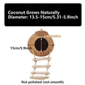 Premium Coconut Shell Bird Nest Bed with Stairs - 13.5-15cm