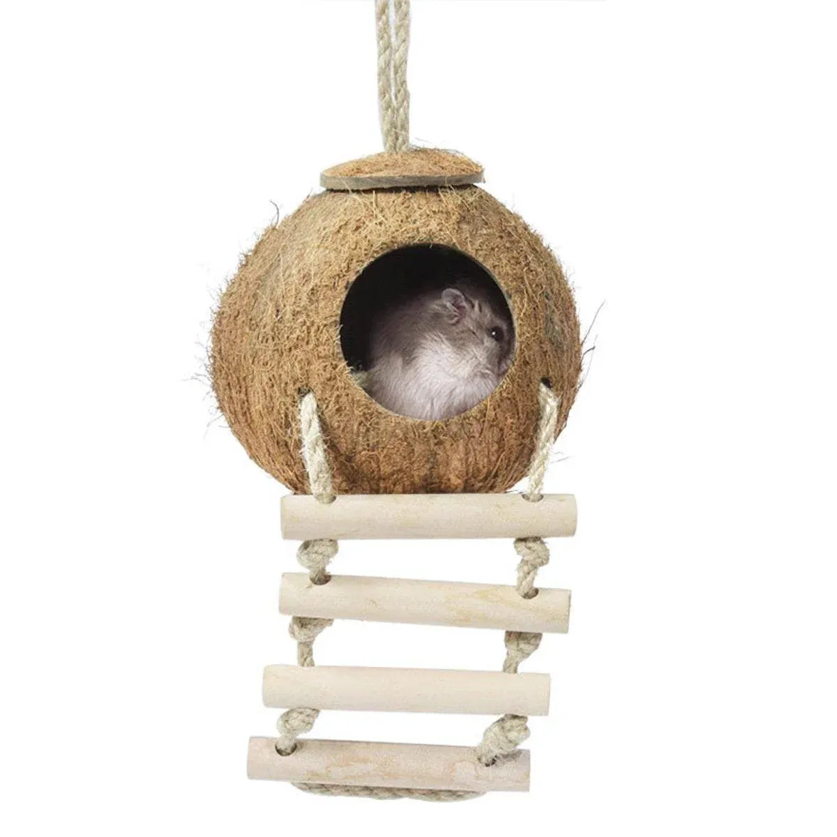 Premium Coconut Shell Bird Nest Bed with Stairs - 13.5-15cm