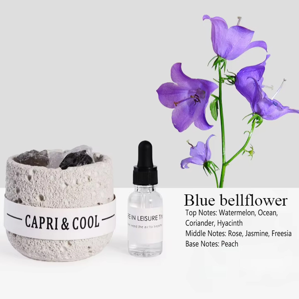 Premium Blue Bellflower Crystal Stone Passive Oil Diffuser Set