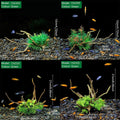 Premium CM3302 Green Aquarium Artificial Wood & Plant Ornament