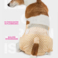 Premium Male Disposable Dog Diapers Leakproof - L, 63-81cm, 10 Pack