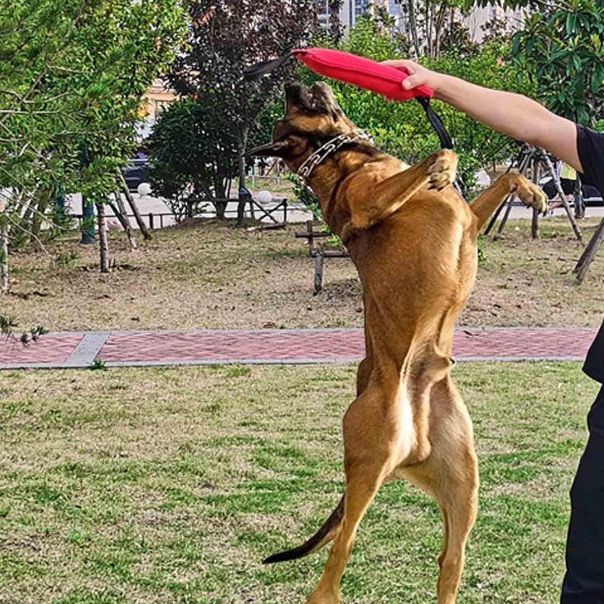 Durable Cloth Bite Stick Teether Dog Training Toy 11.8" - 2 Pack (Red & Green)