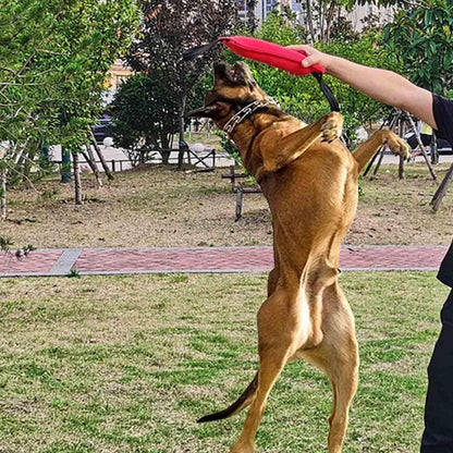 Durable Cloth Bite Stick Teether Dog Training Toy 11.8" - 2 Pack (Red & Green)