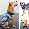 Premium Dog Recovery Suit Anti-Lick Wound Protector - Stripes XL