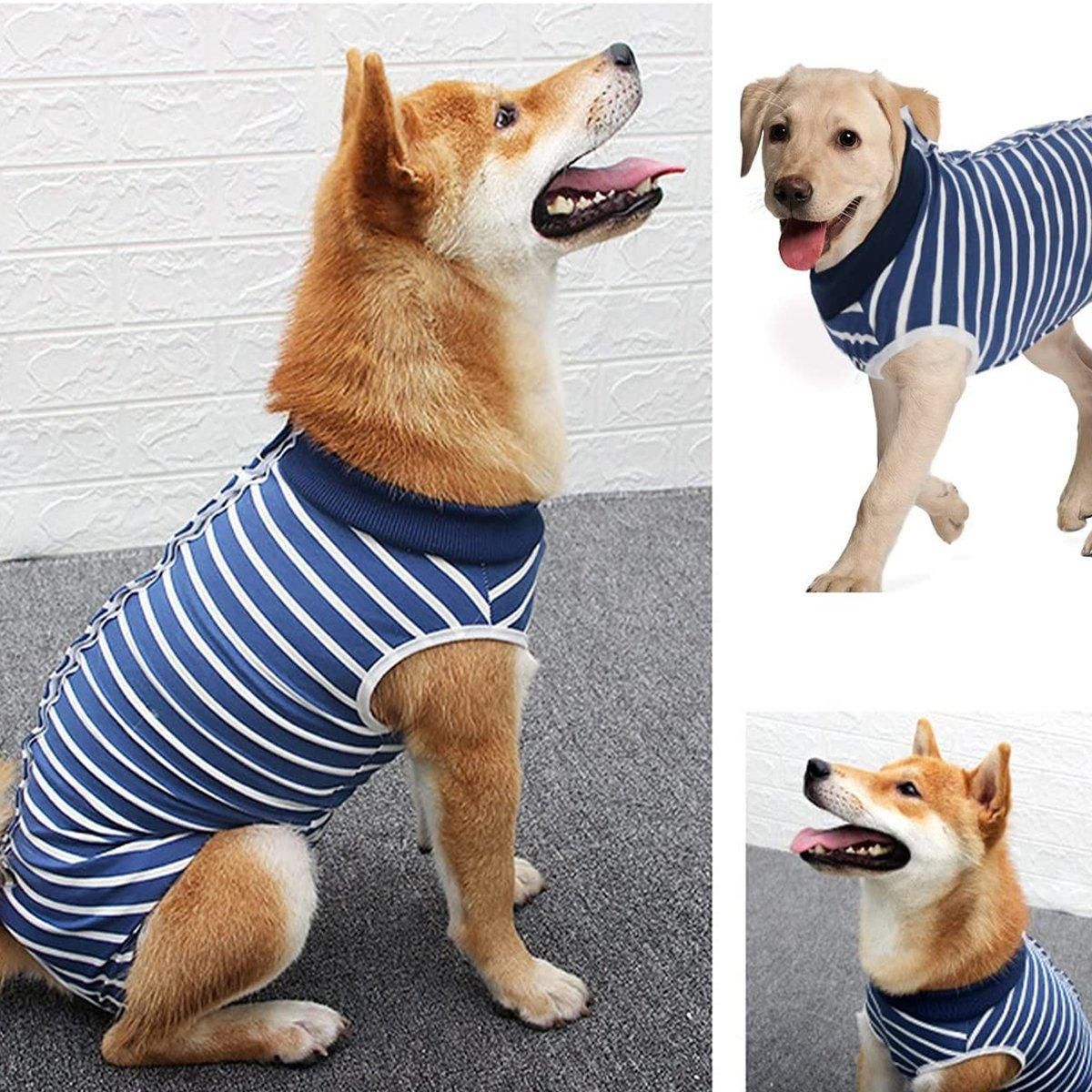 Premium Dog Recovery Suit Anti-Lick Wound Protector - Stripes XL