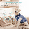 Premium Dog Recovery Suit Anti-Lick Wound Protector - Stripes XL