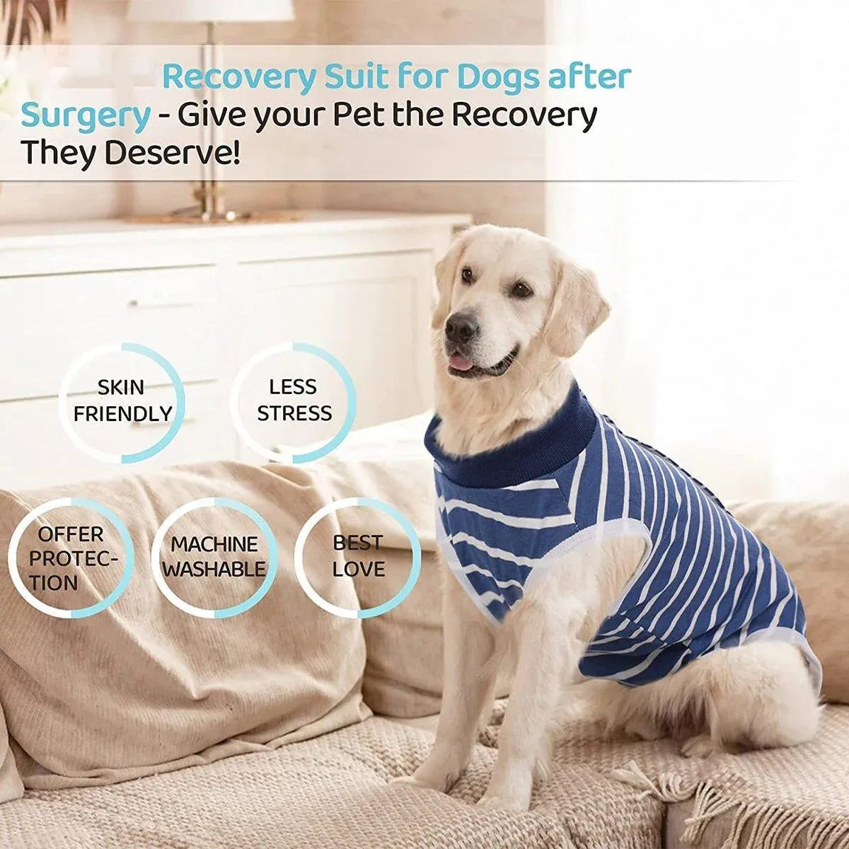 Premium Dog Recovery Suit Anti-Lick Wound Protector - Stripes XL