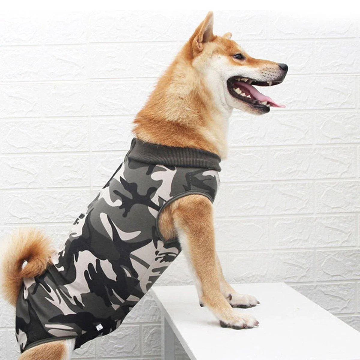 Premium Dog Recovery Suit Anti-Lick Wound Protector - Stripes XL