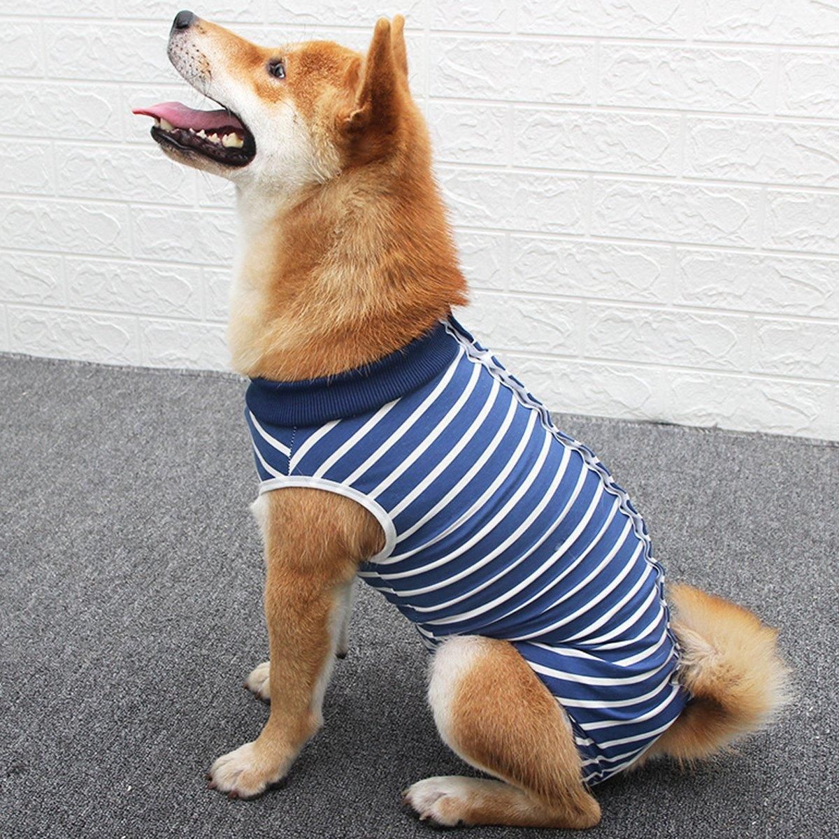 Premium Dog Recovery Suit Anti-Lick Wound Protector - Stripes XL