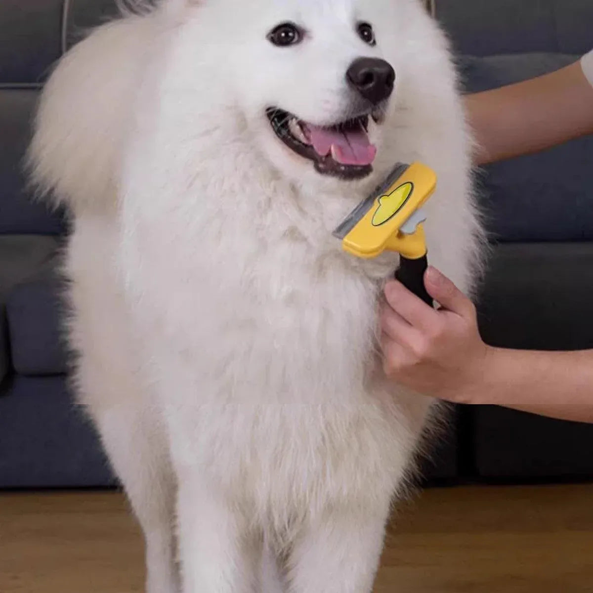 Premium Pet Hair Removal Brush Deshedding Tool - Yellow