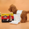 Premium Male Dog Diapers Leakproof with Wetness Indicator - S 12pcs
