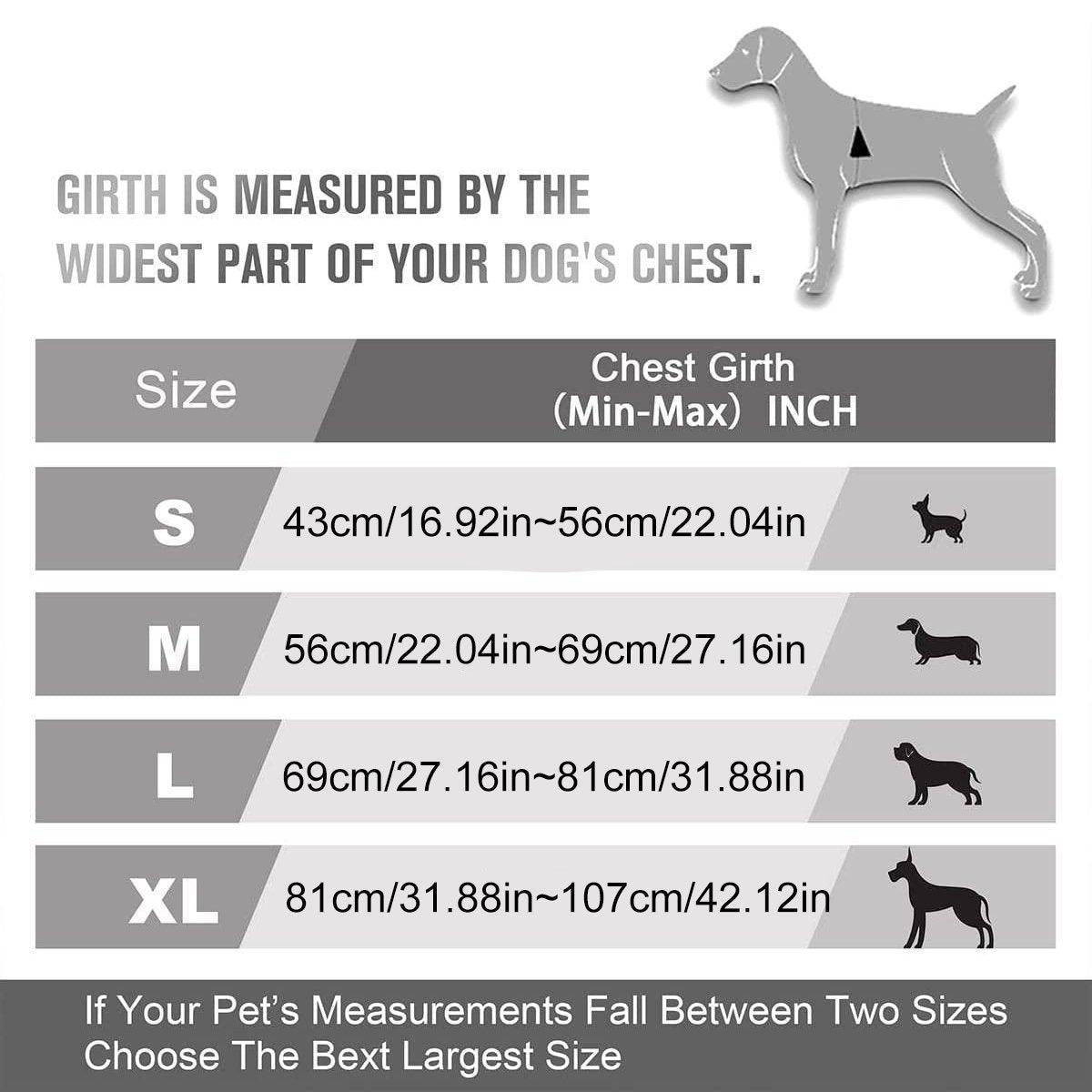 Premium Adjustable No-Pull Dog Harness with Reflective Strips - Blue S